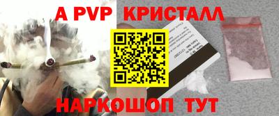 стаф Заводоуковск