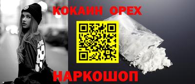 стаф Заводоуковск