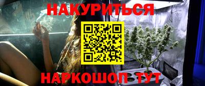 стаф Заводоуковск