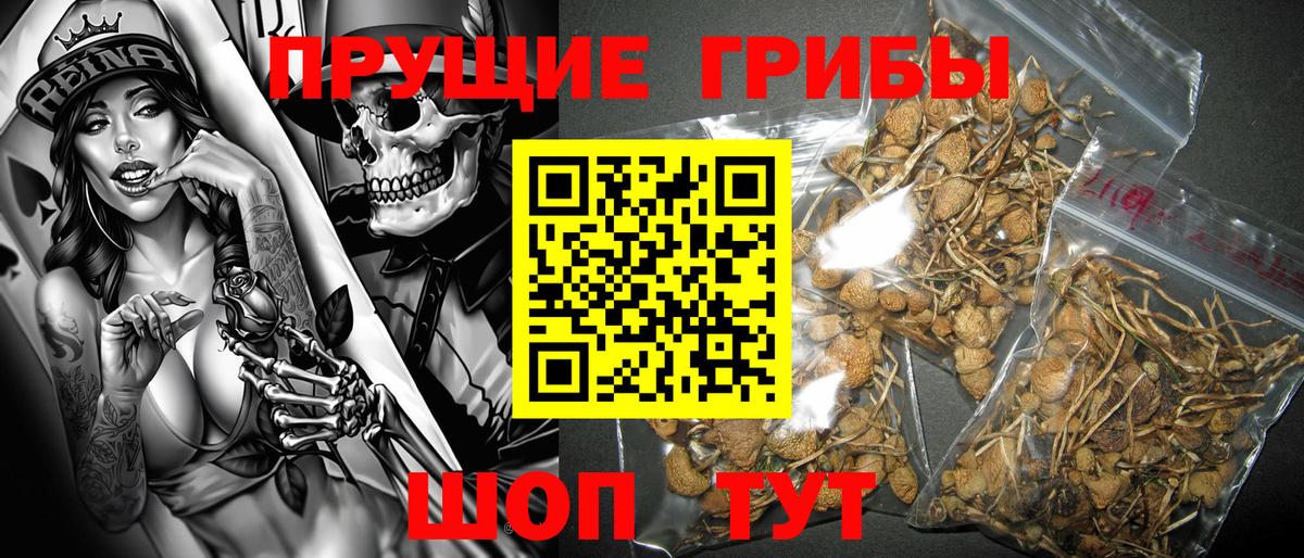 Псилоцибиновые грибы Psilocybine cubensis  Галлюциногенные грибы Magic Shrooms  Вход с VPN  Магнитогорск 