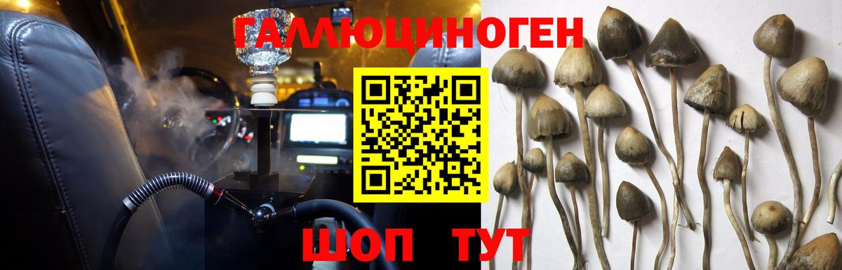 Псилоцибиновые грибы ЛСД Магнитогорск